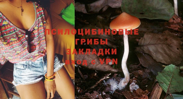 бутират Няндома