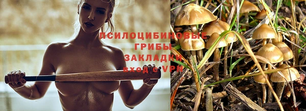 бутират Няндома