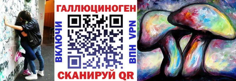 Купить где  Касли  Галлюциногенные грибы Cubensis 